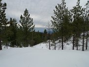 Christmas2010 117